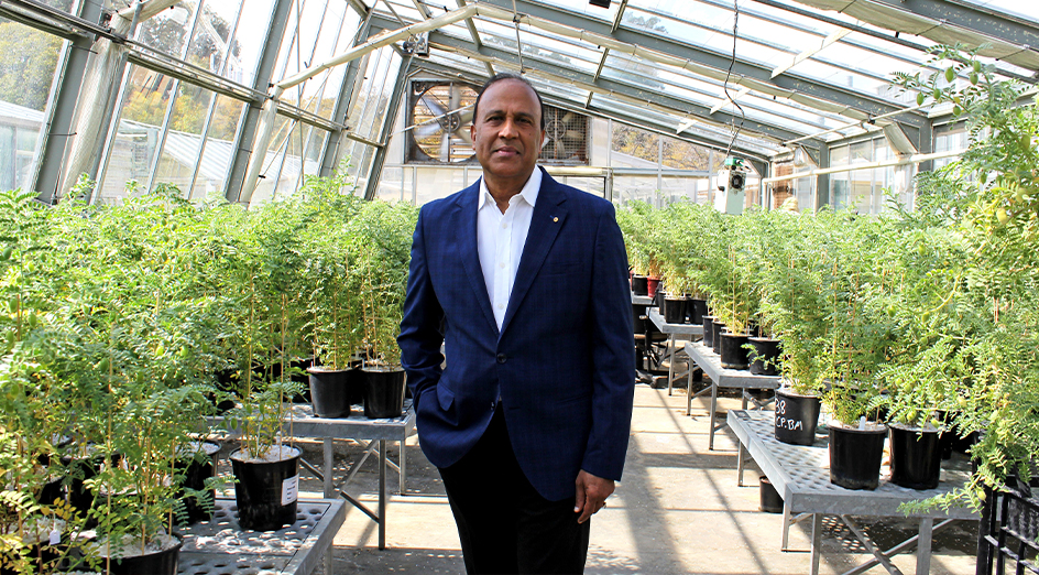 Agricultural research and innovation leading global response to climate change