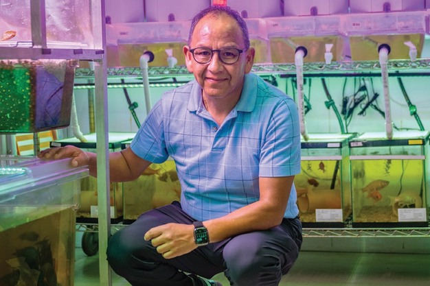 “Aquaponics represents the future of agriculture”