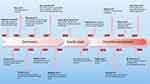 Exosomes in Disease Therapy: Plant-Derived Exosome-Like Nanoparticles Current Status, Challenges, and Future Prospects