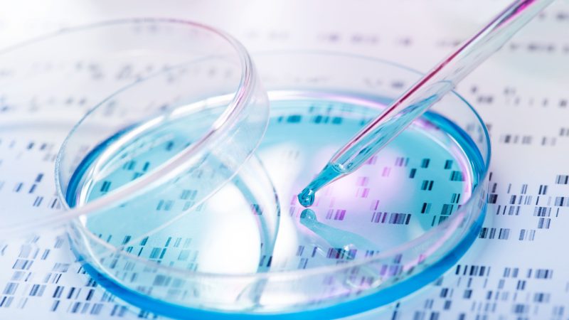 Michael Crichton’s Unheeded Warning of Biotechnology Catastrophe