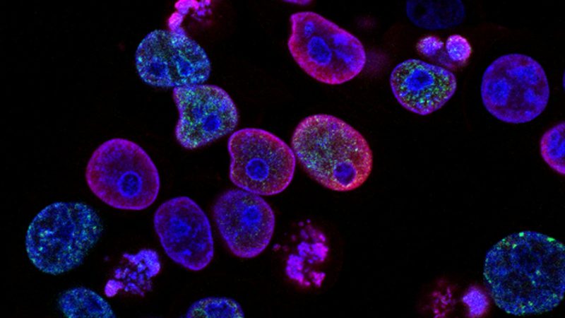 Biotechnology as a Strategic Asset: Ends, Ways, and Means for a U.S. Competitive Advantage