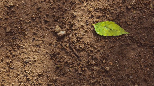 Researchers Reveal Molecular Mechanisms That Bind Water and Soil