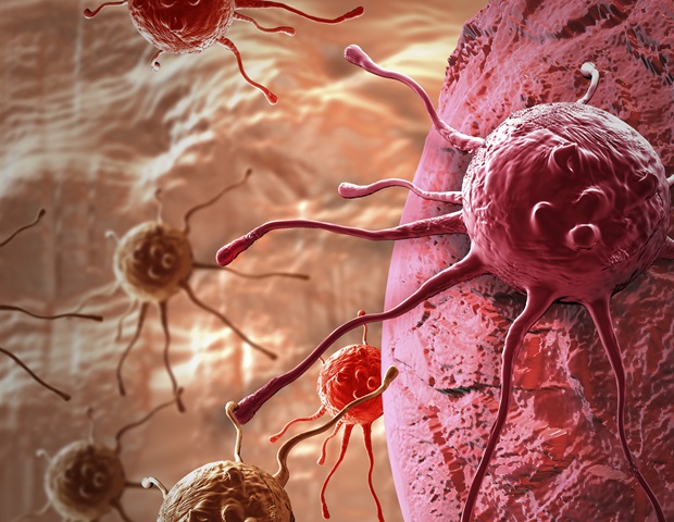 Liposomal nanotechnology enhances precision and efficacy in photodynamic cancer therapy