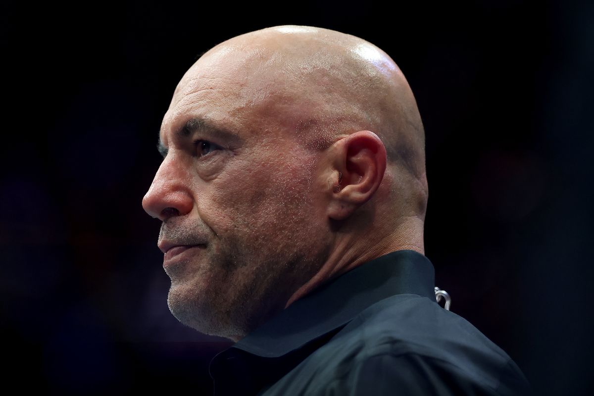Joe Rogan raises deeply worrying AI question about destroying human race