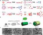 Nanoporous Materials in Biomedical Research: Progress and Potential