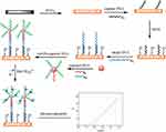 A schematic of DNA hybridization detection using nanoporous gold electrodes and chronocoulometry.