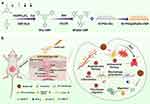 Illustration of SF/PVA@BPyMe-CMP synthesis and its role in wound healing.