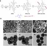 The figure presents the synthetic scheme and representative micrographs of HMPNs, HMPNs-EDA, and HMPNs-EDA-ssDNA. It consists of six panels illustrating the stepwise synthesis process and corresponding structural characterization.