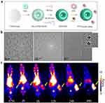 Three-part image showing ⁸⁶/⁹⁰Y-DOTA-UPSN synthesis, TEM images, and PET scans of tumor-bearing mice.