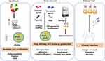 Research Progress and Preclinical Prospects of Plant-Derived Extracellular Vesicles in Targeted Delivery of Antitumor Drugs