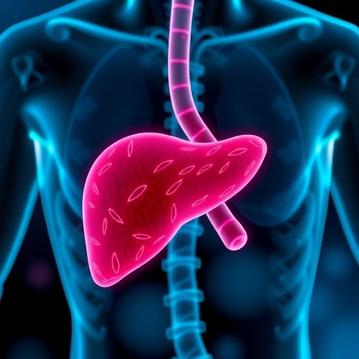 Bifidobacterium Nanoparticles Combat Alcoholic Liver Disease